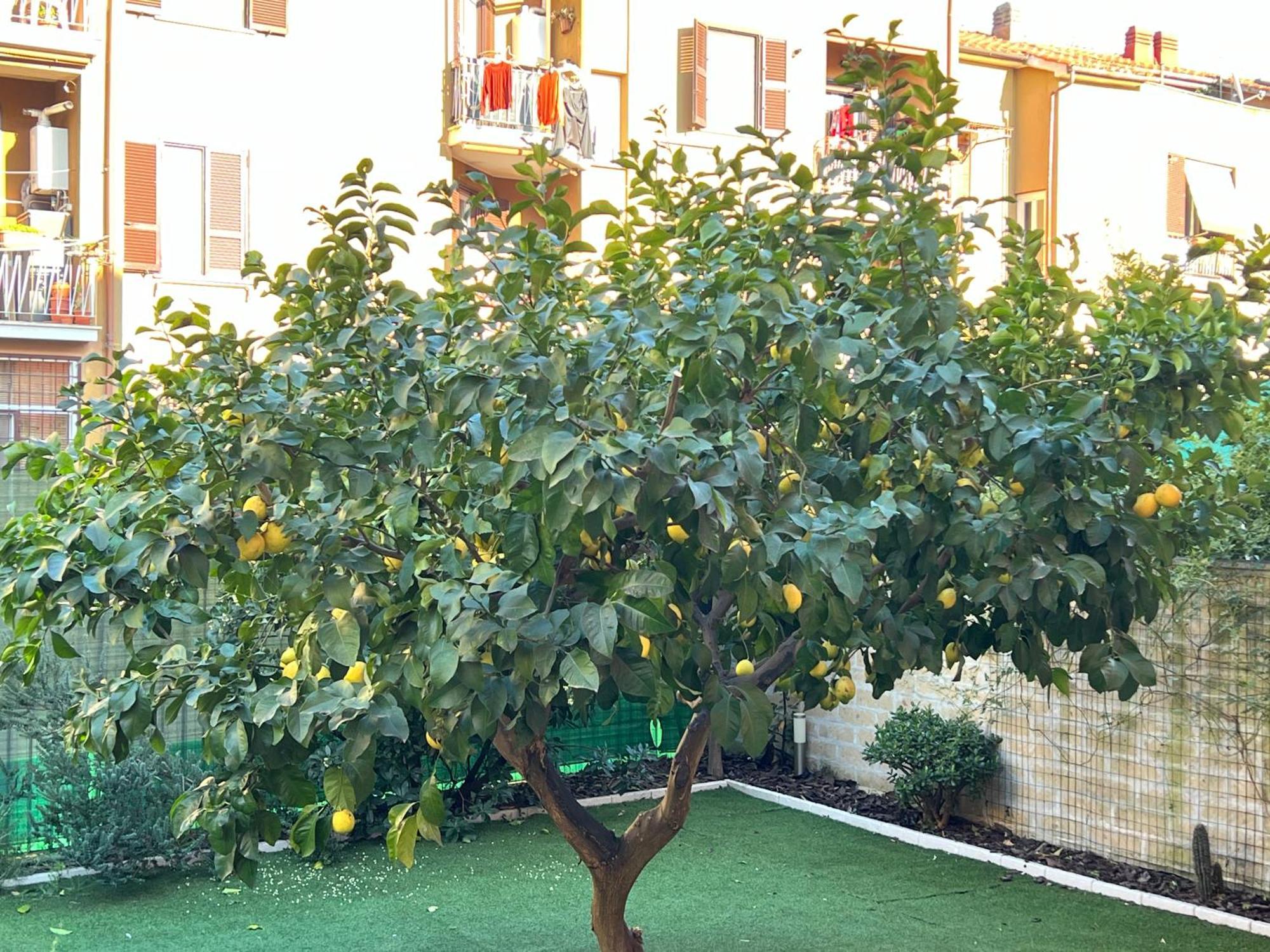 Casa Paestum. Your Wonderful Garden In โรม ภายนอก รูปภาพ